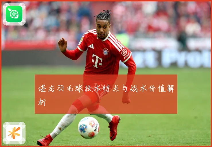 谌龙羽毛球技术特点与战术价值解析
