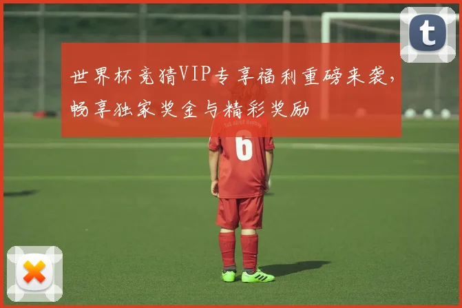 世界杯竞猜VIP专享福利重磅来袭，畅享独家奖金与精彩奖励