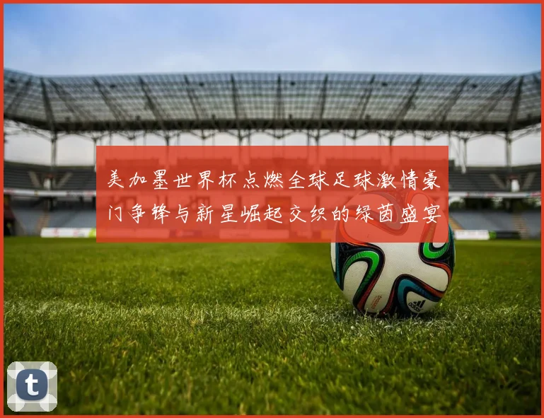 美加墨世界杯点燃全球足球激情豪门争锋与新星崛起交织的绿茵盛宴