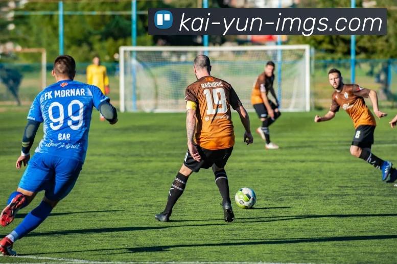 开云平台展示图