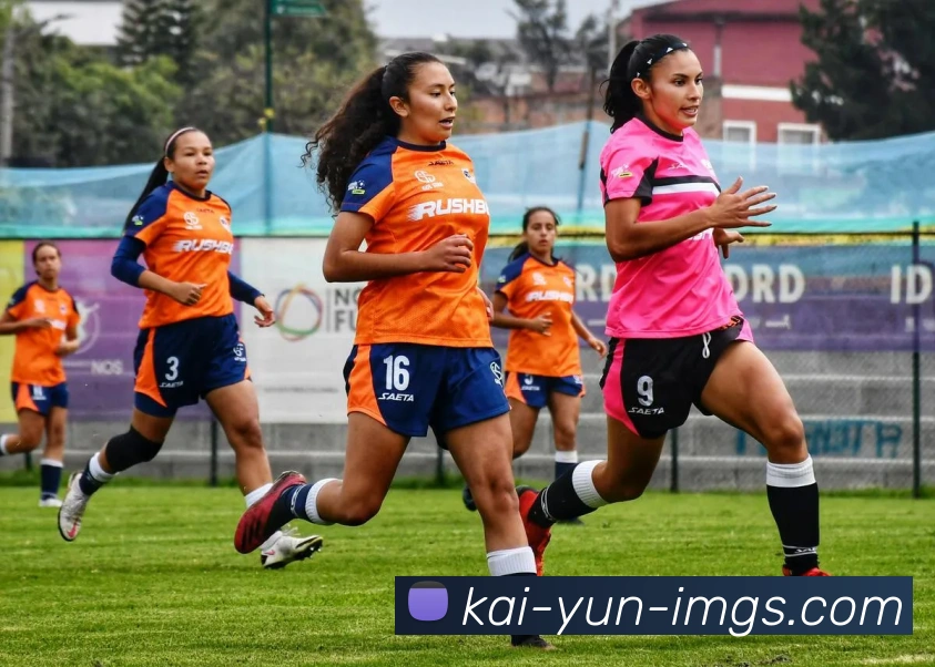 开云官网全站App